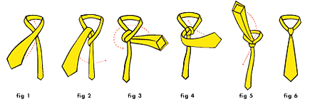 Windsor Knot Steps